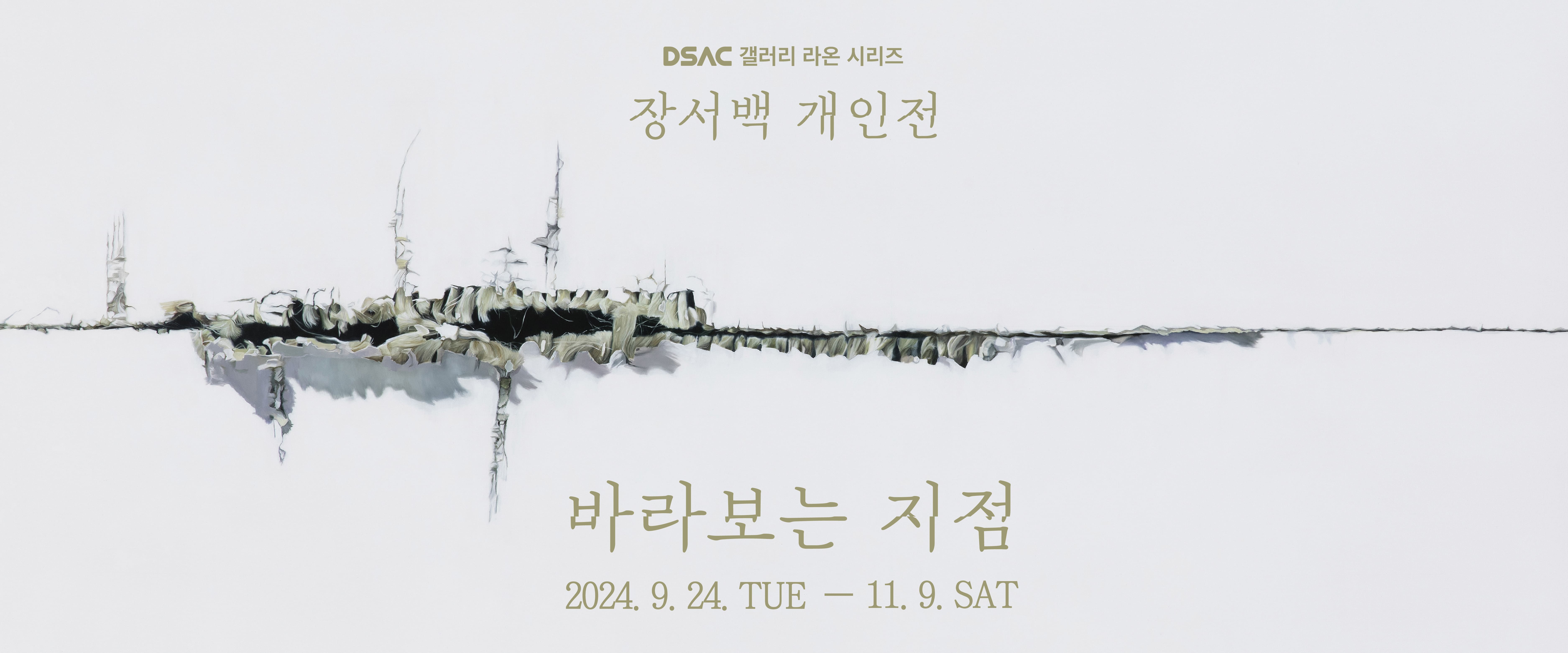 DSAC 갤러리 라온 시리즈 장서백 개인전:바라보는 지점